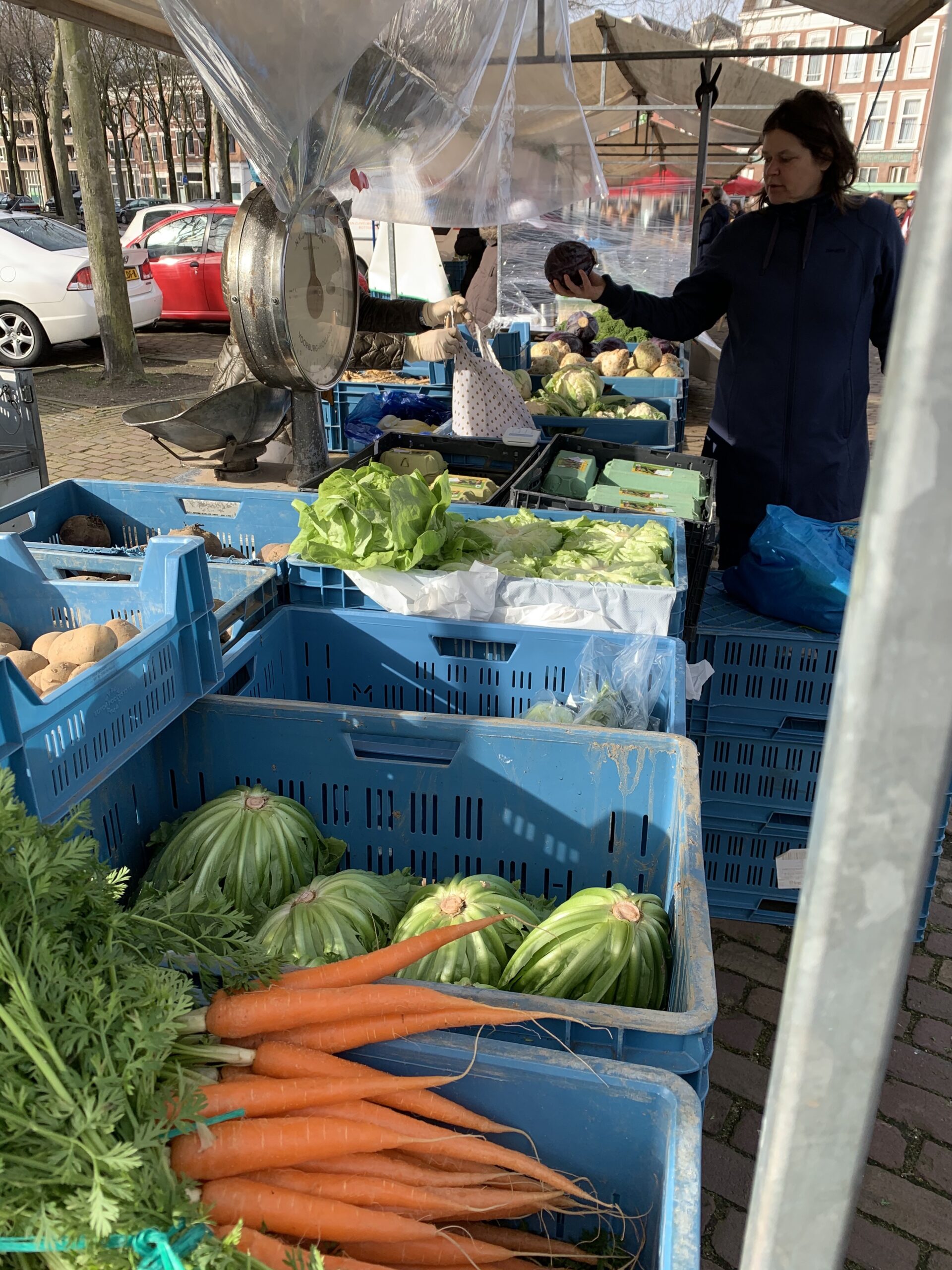 Carrots and other vegetables in blue boxes