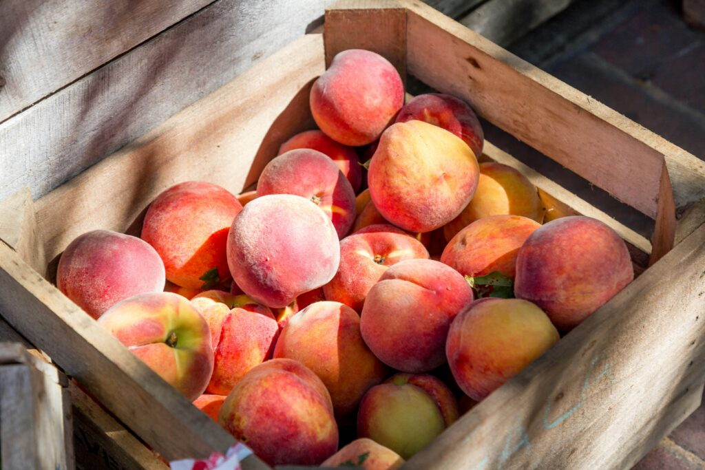 Raspail Organic Market Paris