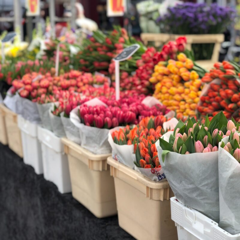 markets in Amsterdam