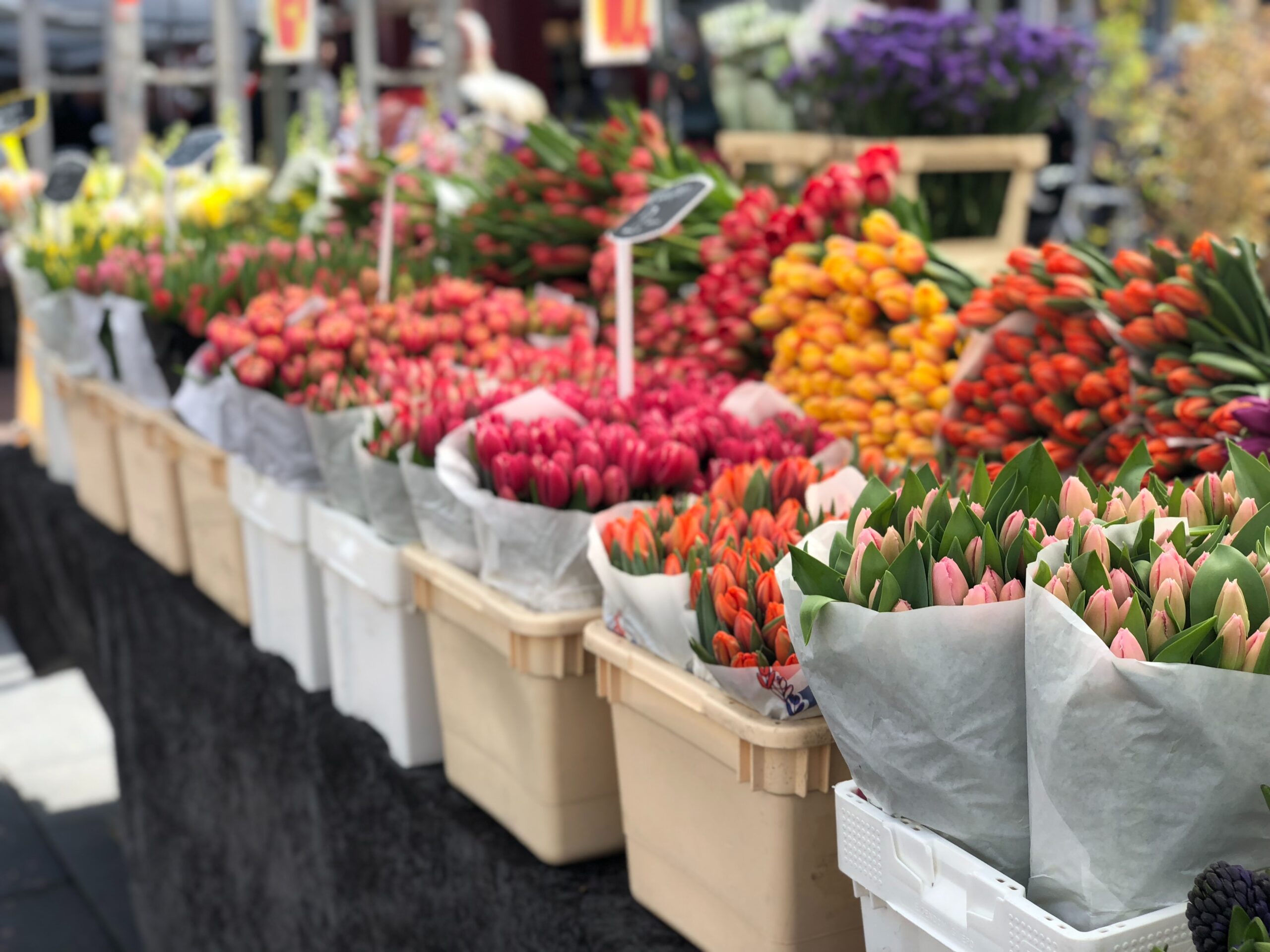 The Ultimate List of Markets in Amsterdam