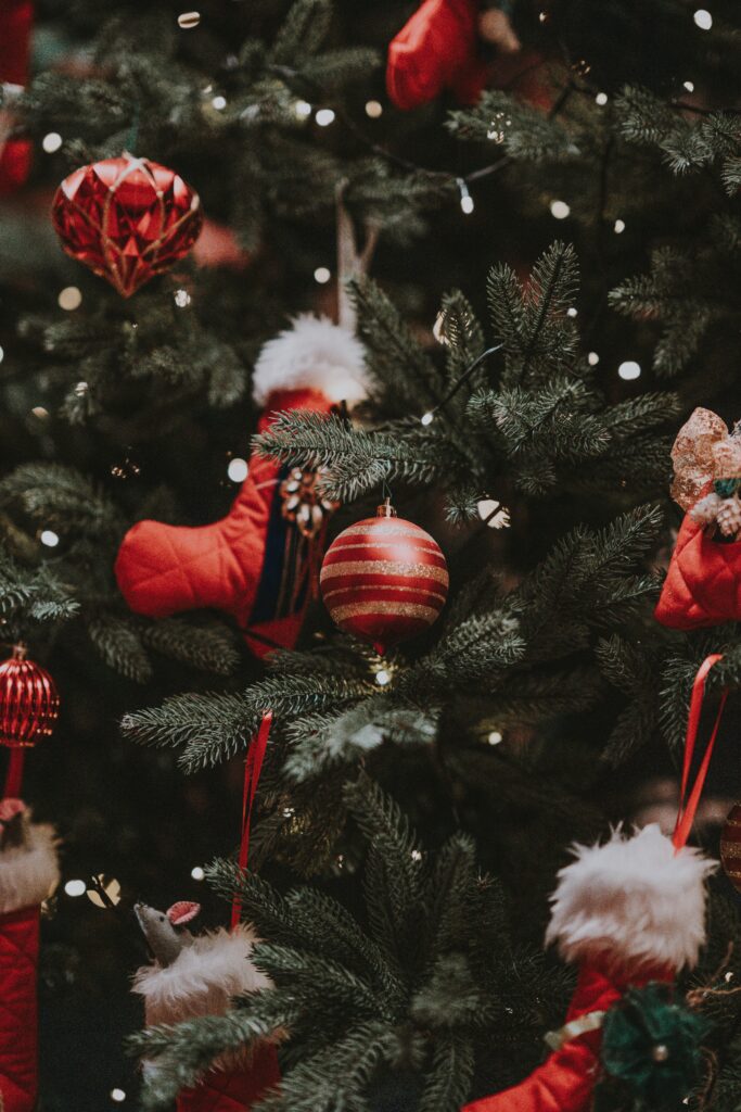 Christmas Market of Nations in Rüdesheim