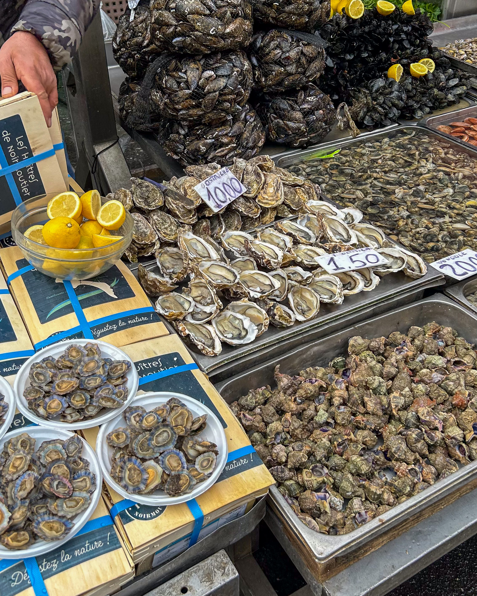 oysters at the fish market in Catania