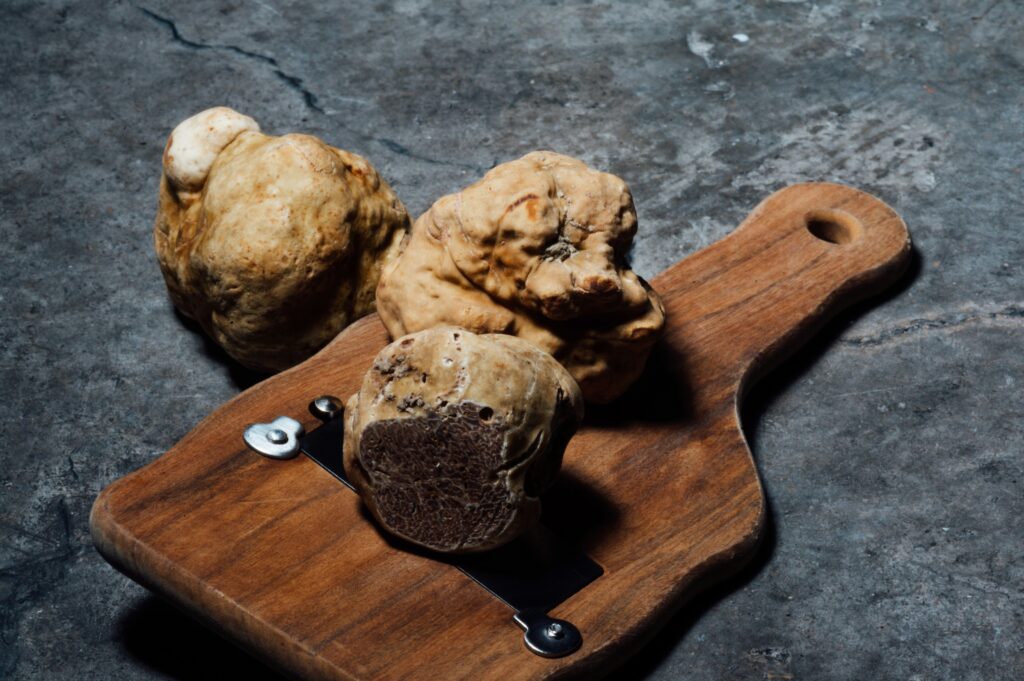 White Truffle Fair Alba