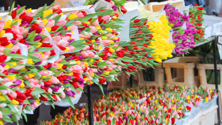 Plein 40-45 Market, Amsterdam - Where is the market?