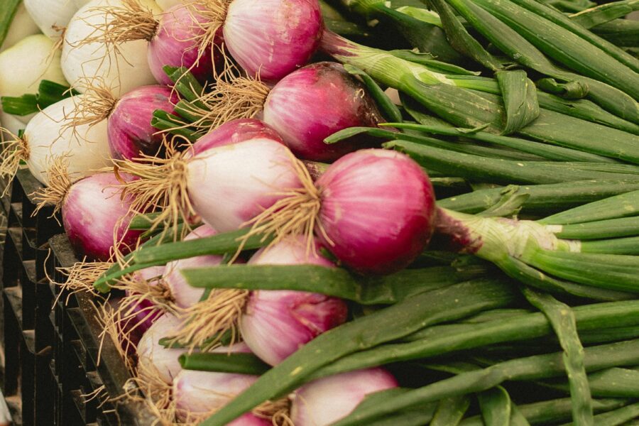 St Eloi Market Paris