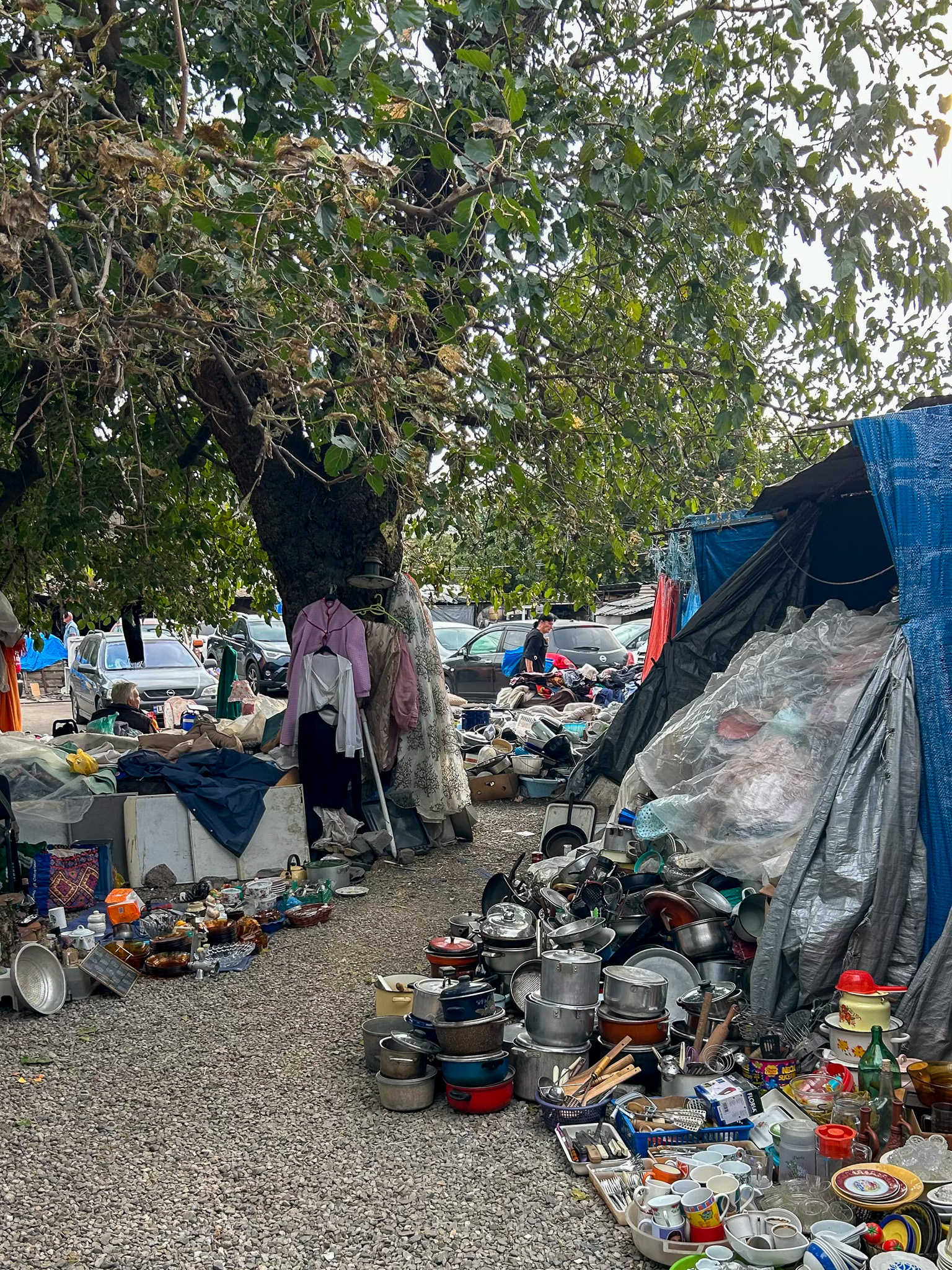 Samgori Bazaar Tbilisi