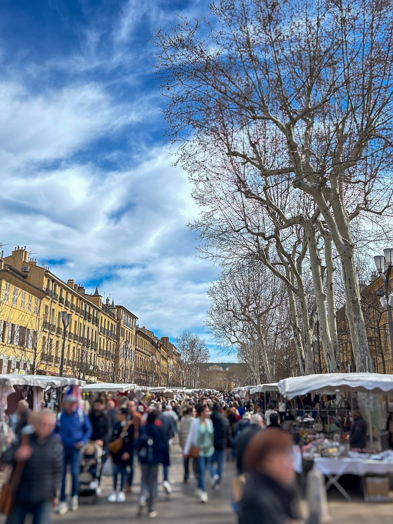 Cours Mirabeau market Aix en Provence