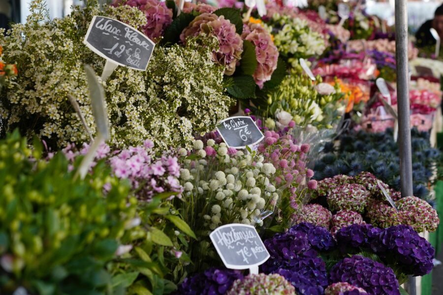 Amstelveld Plant Market Amsterdam