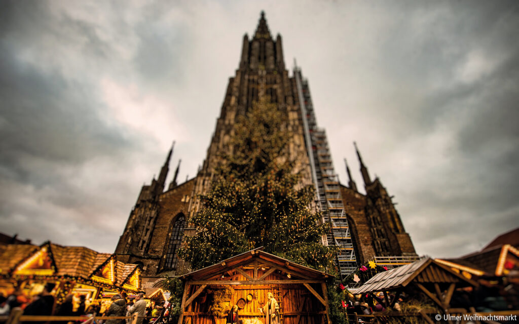 Ulm Christmas Market - Ulm Minster cathedral with its tall Gothic spire towering over wooden Christmas market stalls and a nativity scene at twilight.