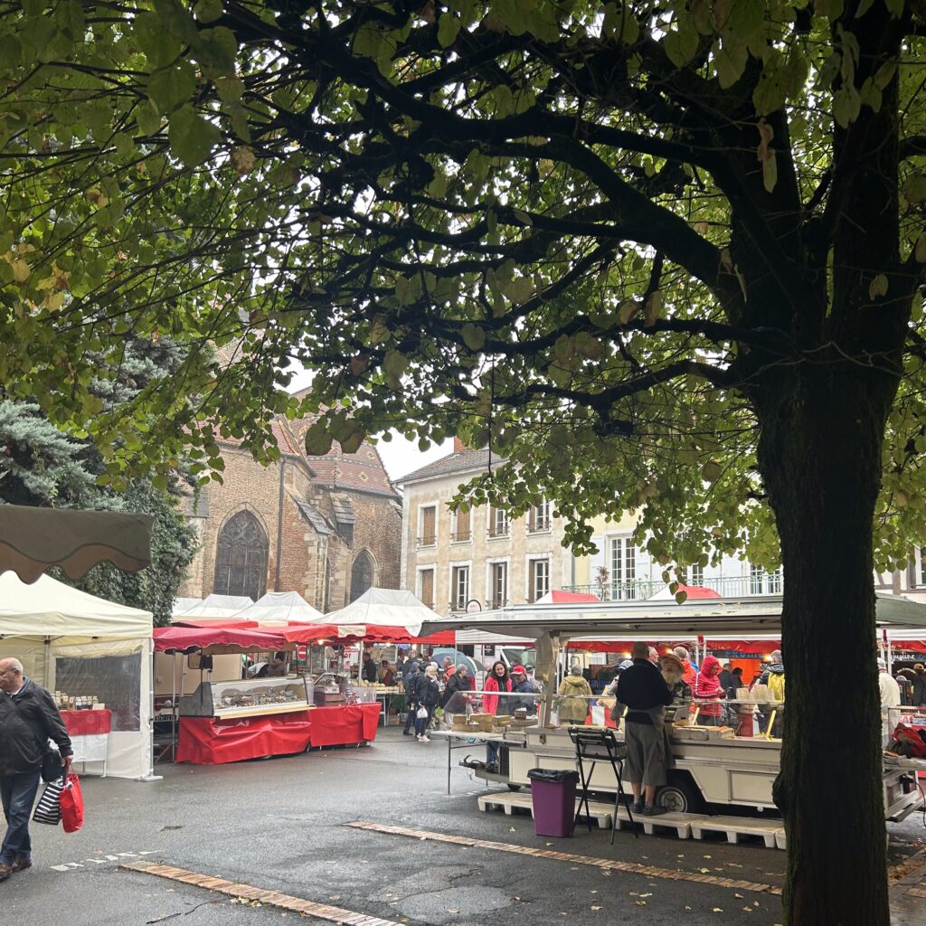 Louhans poultry market on Monday morning with red and white vendor stalls beneath a large tree, historic church and buildings in the background, shoppers browsing fresh produce at the stalls.