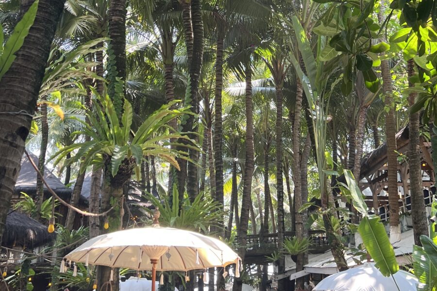 La Brisa Sunday Market